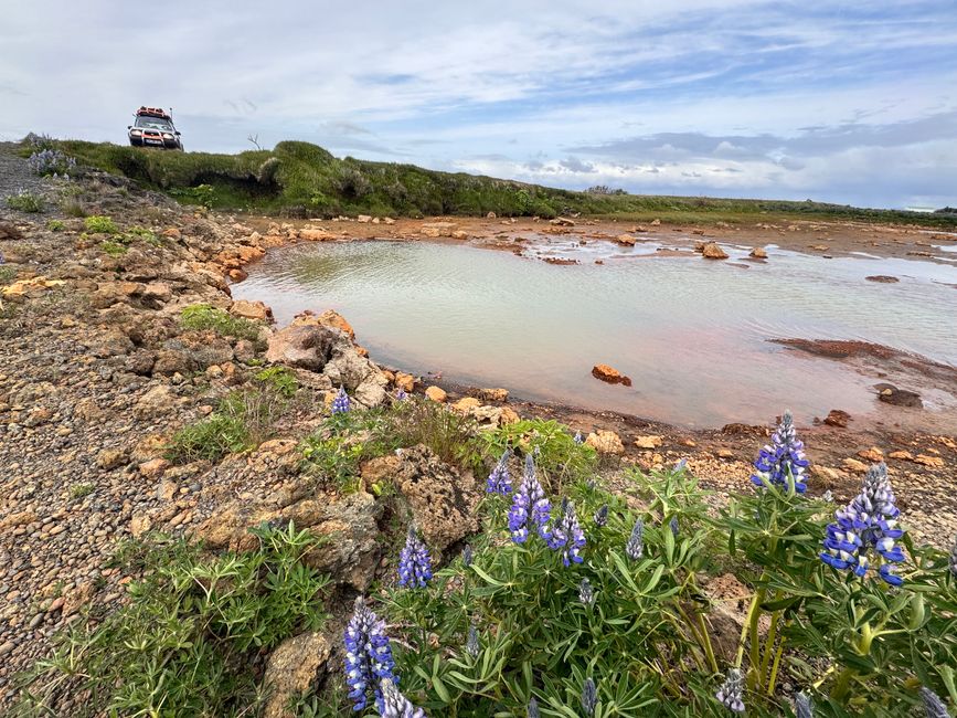 chilliger Tag rund um Selfoss