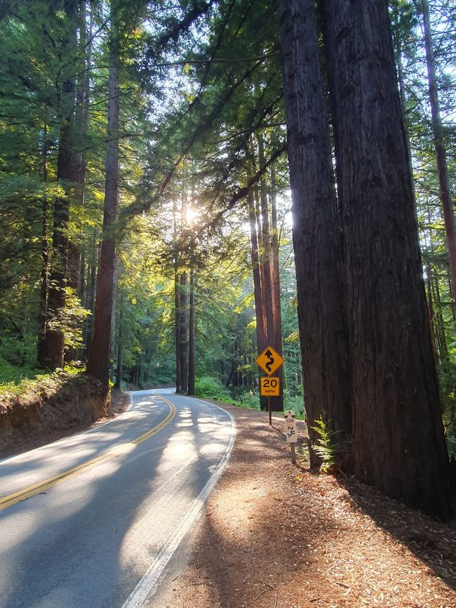 Pequeña parada en el camino de regreso hacia los Redwoods