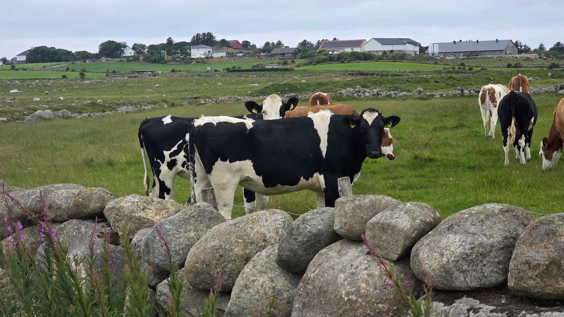 Von Stavanger - Egersund