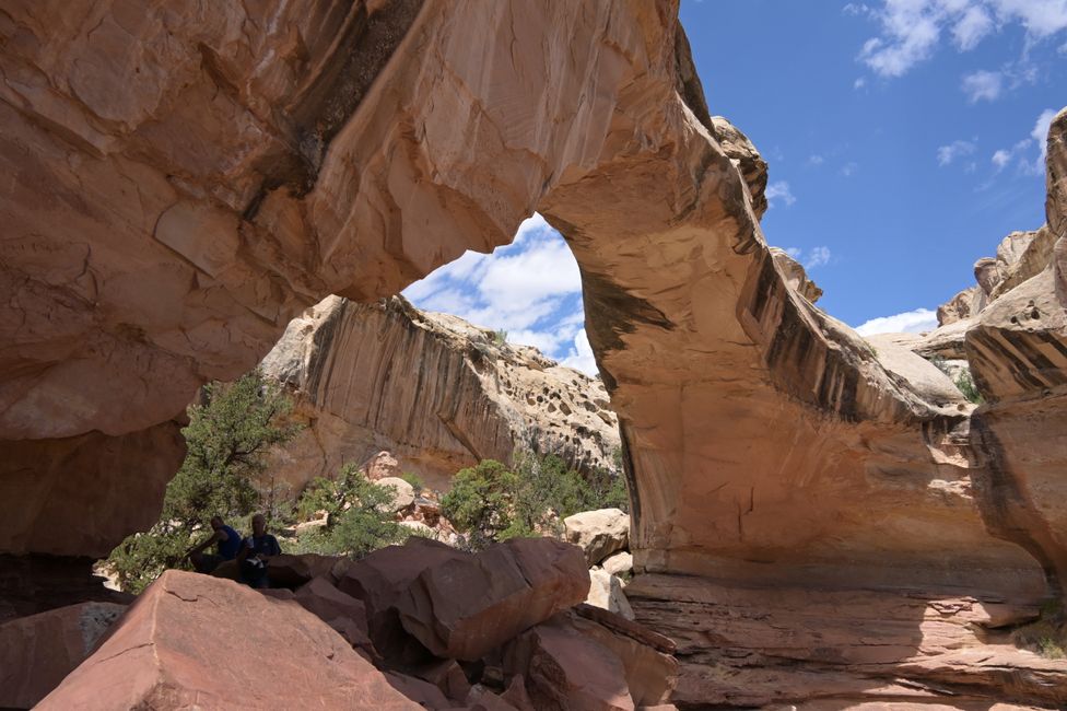 Capitol Reef NP - Hickman Bridge