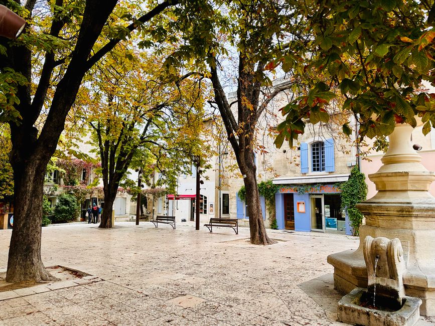 Saint-Rémy-de-Provence, los Alpilles y Salon-de-Provence