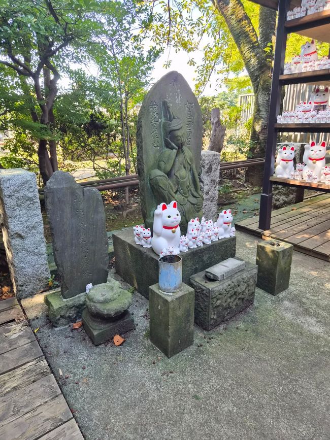 Templo de Gato / Gōtoku-ji