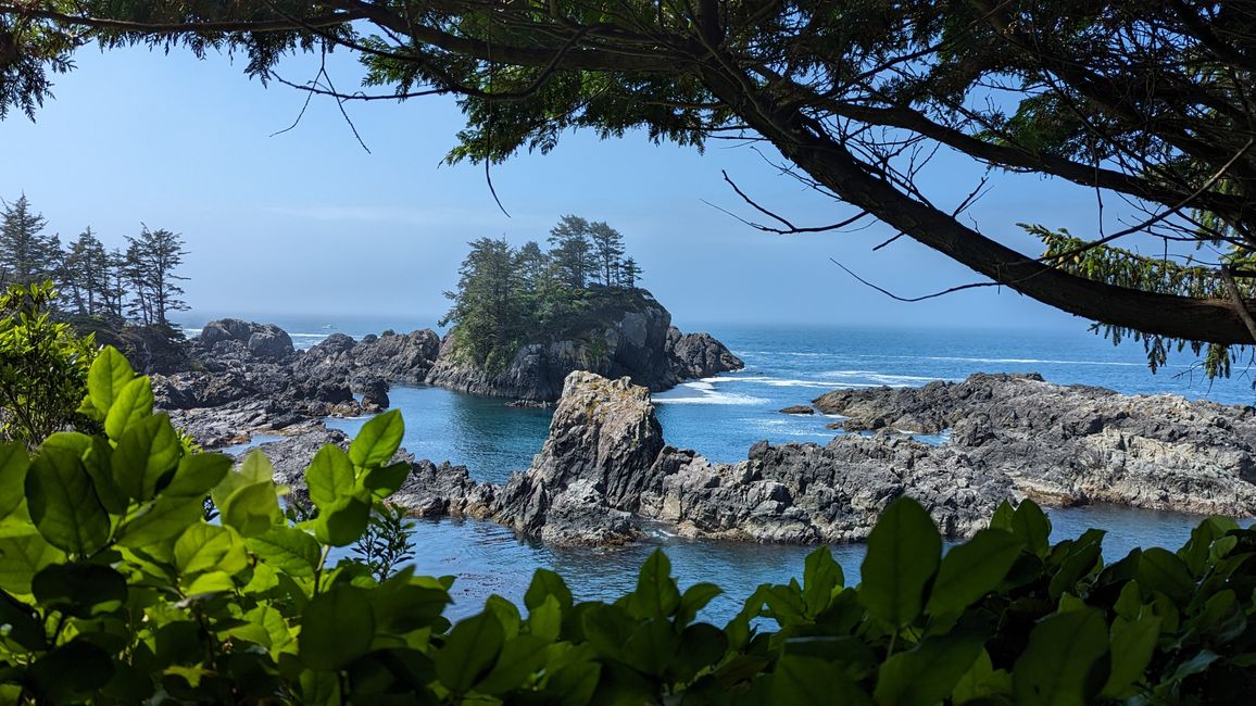 Etiqueta 7: Parque Nacional Pacific Rim - Ucluelet - Tofino