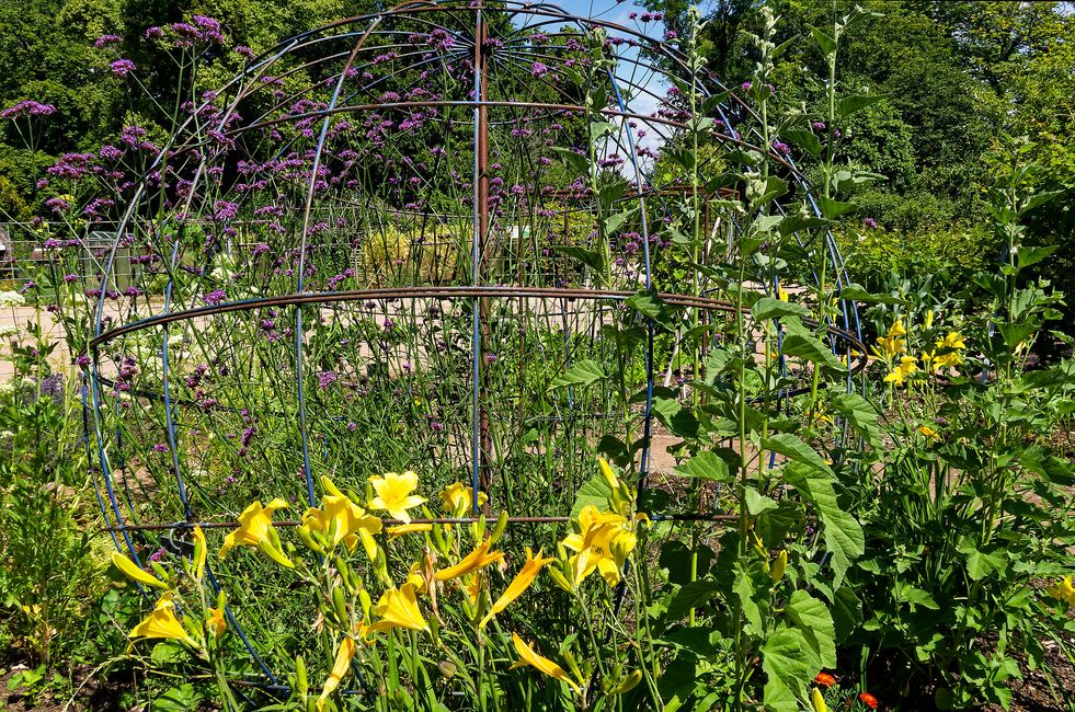 Parc Floral de La Source