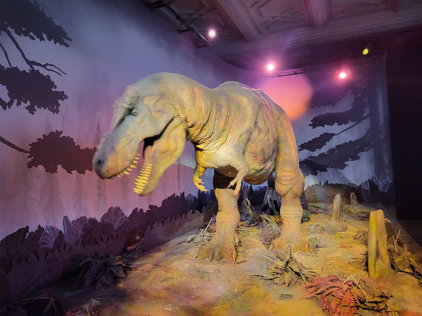 Tyrannosaurus Rex 