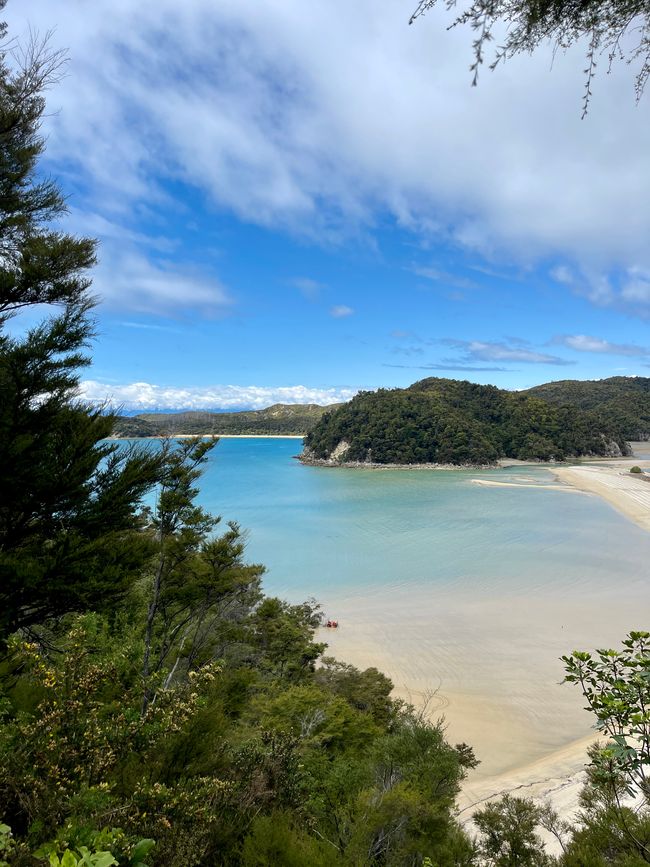 Week 6 - Nelson + Abel Tasman Coast Walk