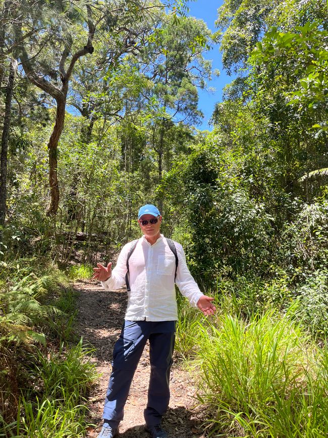 Noosa Nationalpark: Tangelwood Walk  