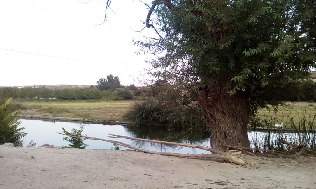 Fotos der Alquería (Galera, Granada) (August 2021)