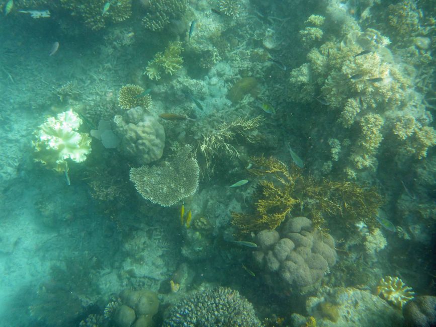 Misool, Westneuguinea, Indonesien, Insel-Ausflug