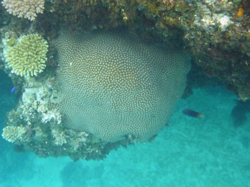 Lomaloma, Insel Vanua Balavu, Fidschi