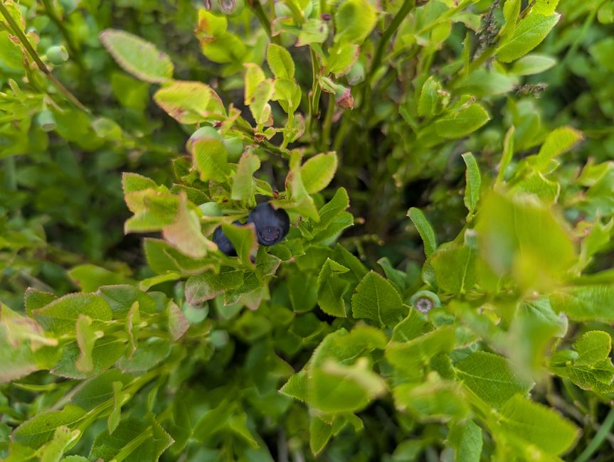 Wandern im Peak Distrikt