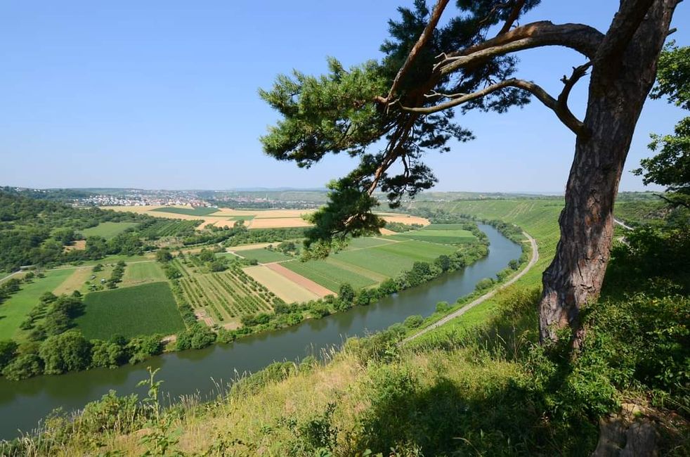 * * * S W A B I A N   
D O L O M I T E S * * *
Climbing, Hiking, Marveling: The Hessigheim Rock Gardens