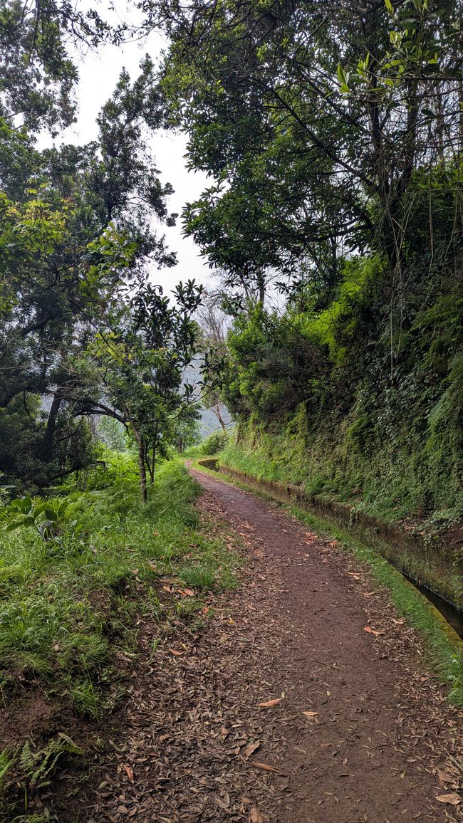 Tag 13: Levada da Ribeira da Janela & Nordwestküste