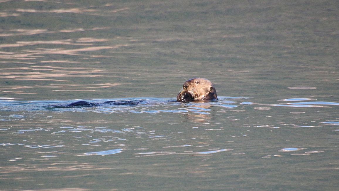 Day 24: Trip to Juneau: Glacier Outburst & 20,000 Tourists