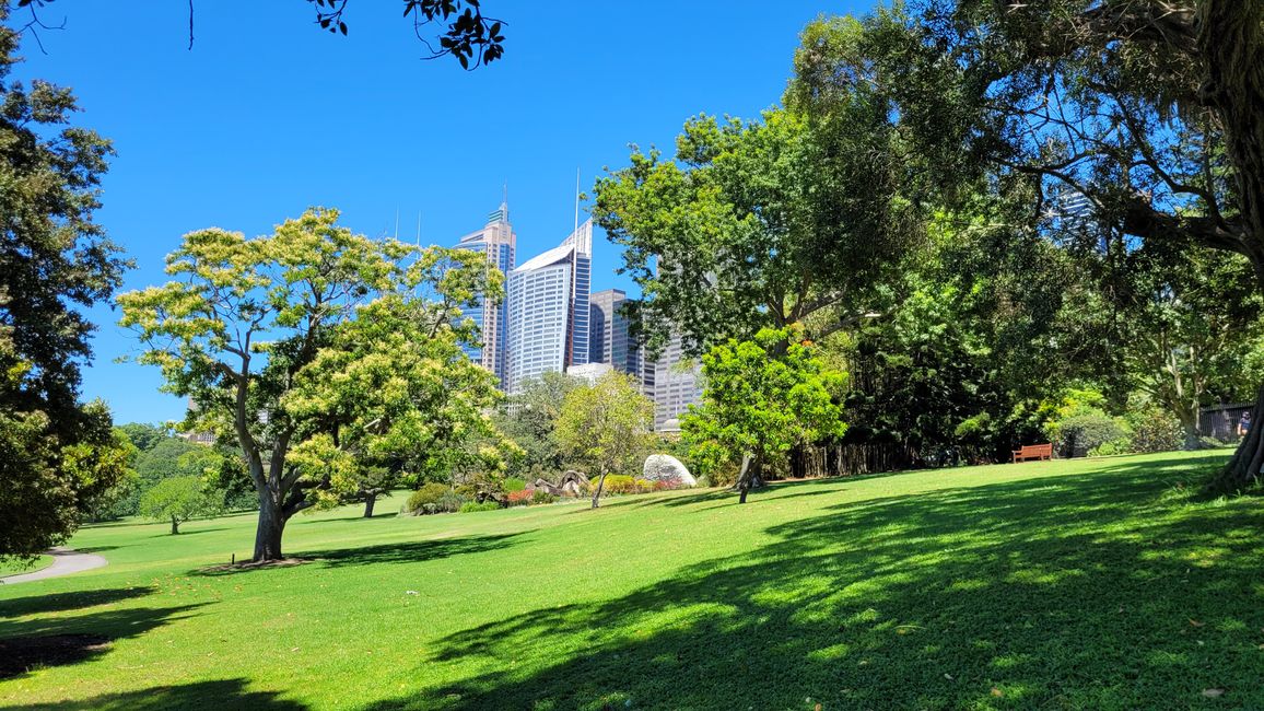 Heute königliches Programm – Royal Botanical Garden in Sydney