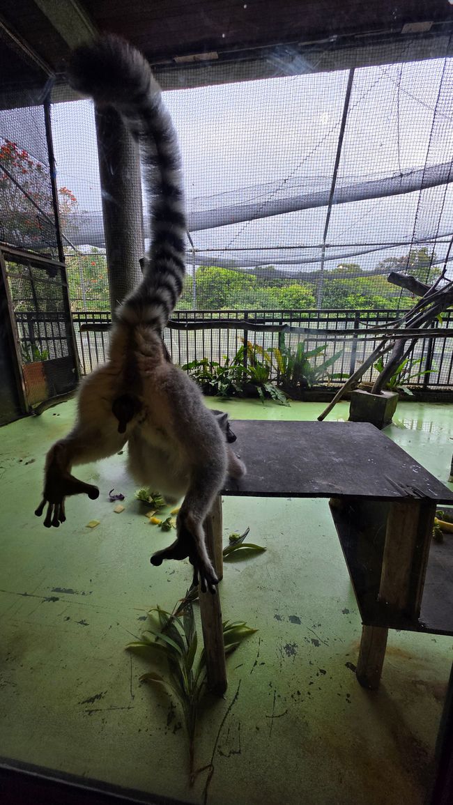 Okinawa Nuchi du takara (Life is the very thing we treasure)