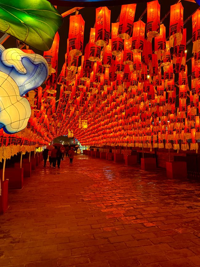Part 2: Xi'an and Chengdu 🐼
