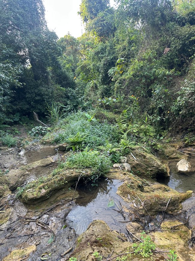 Muang Ngoy