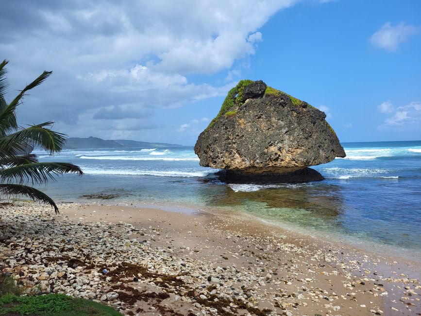 Ostküste von Barbados