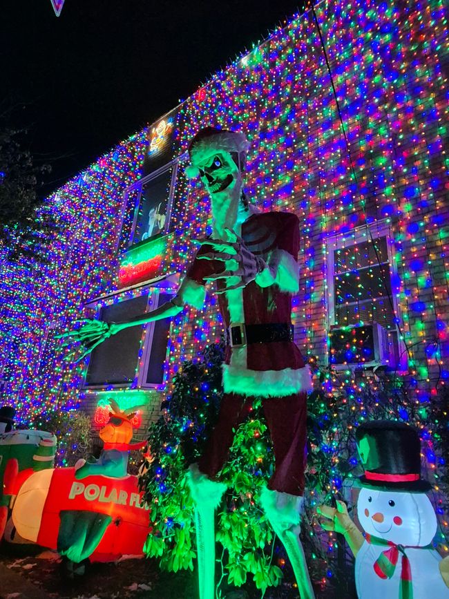 Attrazioni di Brooklyn e Dyker Heights