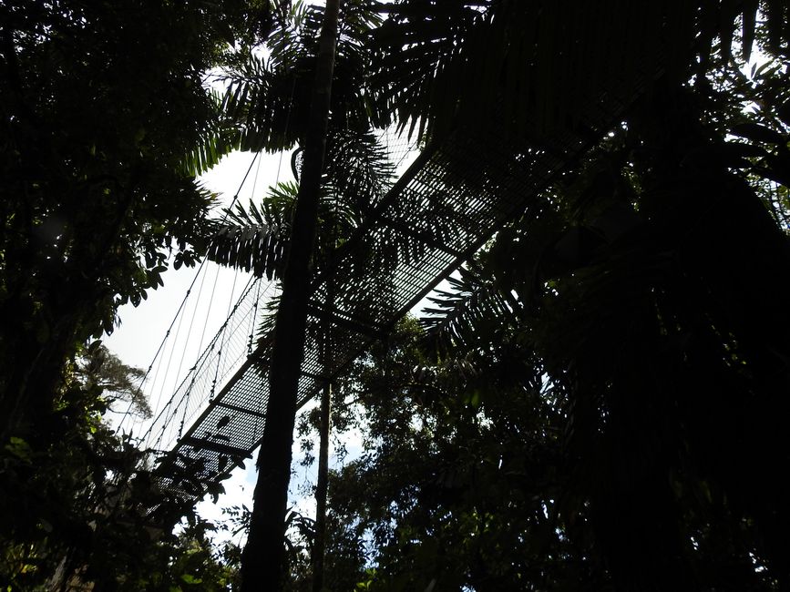 El volcán Arenal con su característico sombrero