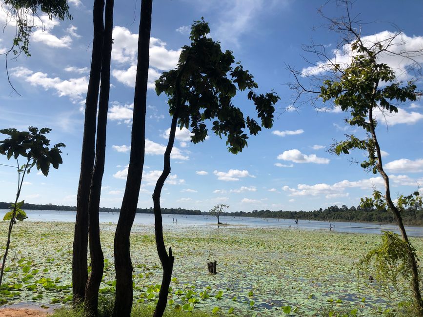 Tempel Ta Som - riesige Wasserfläche