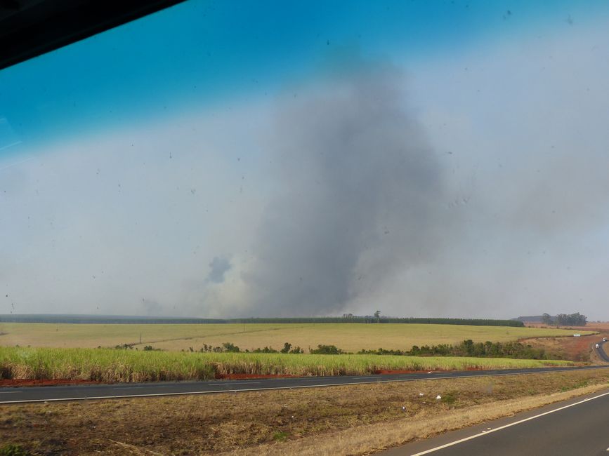 Brazil, refuge near Coxim