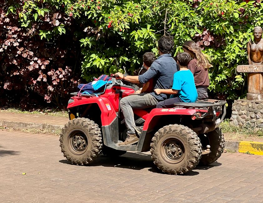 wieviel Personen passen auf ein Quad?! 4 sollten es schon sein 😂
