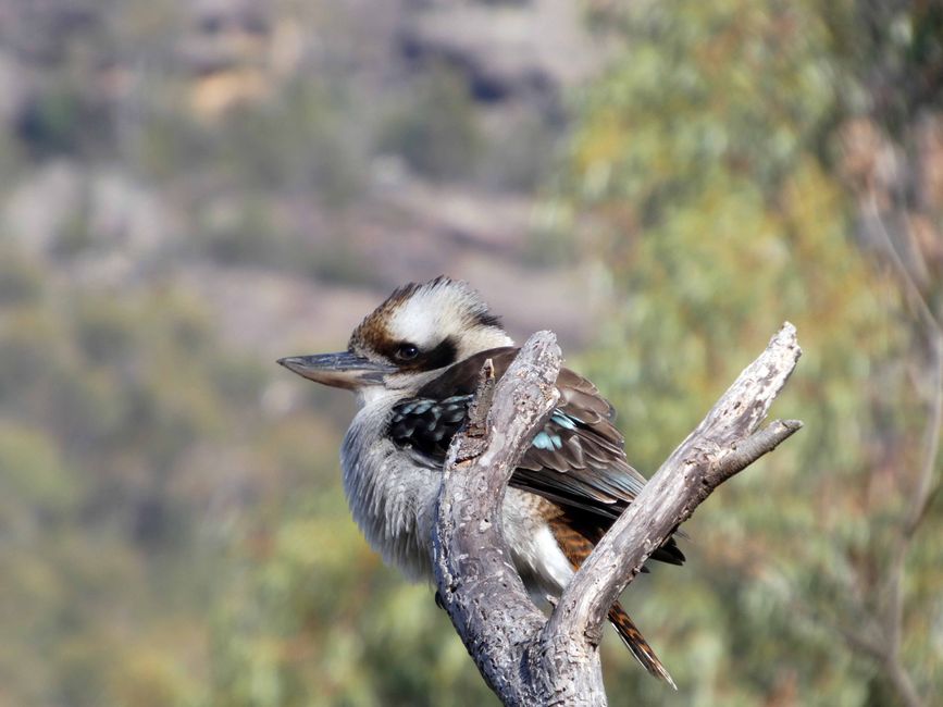Halls Gap - Grampians-Nationalpark