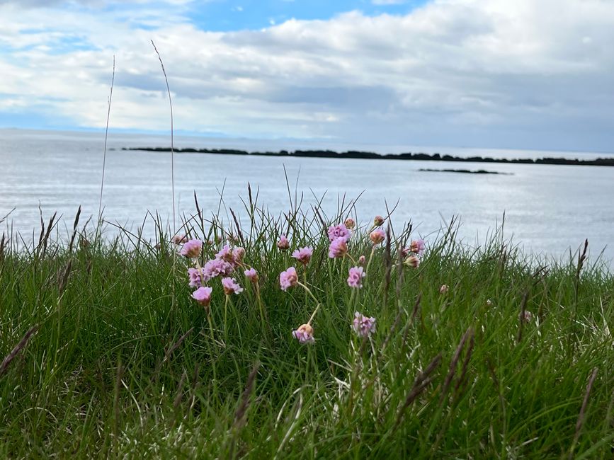 Weiterfahrt Richtung Westisland
