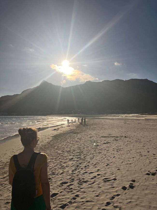 Kap-Halbinsel und Stellenbosch