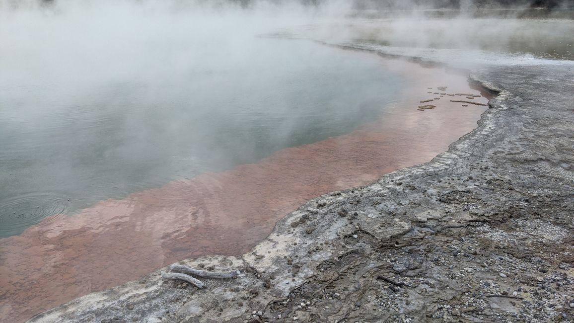 Wai-O-Tapu / Rotorua