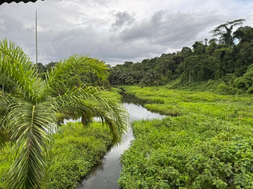 Parque National de Manu