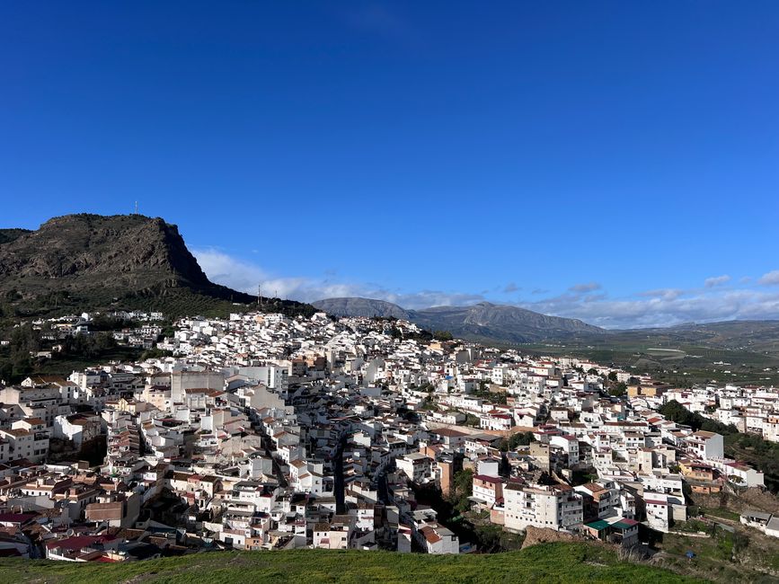 Alora
