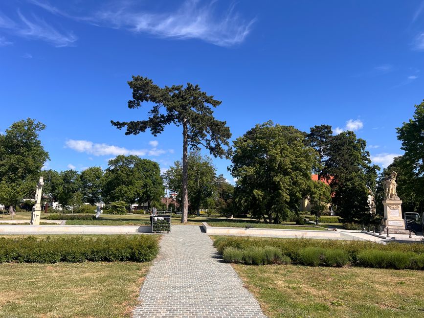 12 a Wiener Neustadt