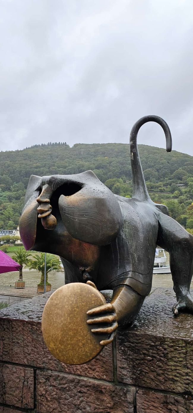 Heidelberg - an experience even in the rain!