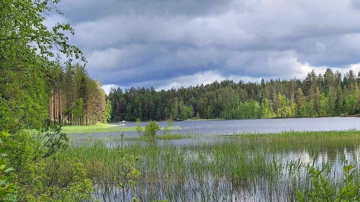 Finlandia 31 de mayo - 14 de junio de 2024/10 de junio