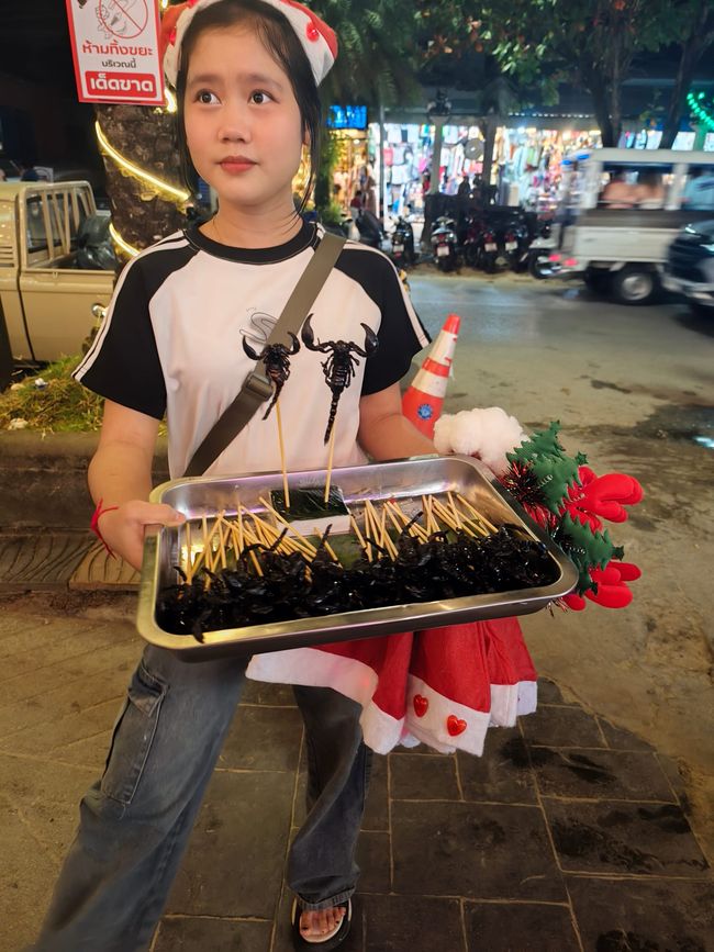 Thailand Teil 7: Weihnachten, Kater & das große Matschloch