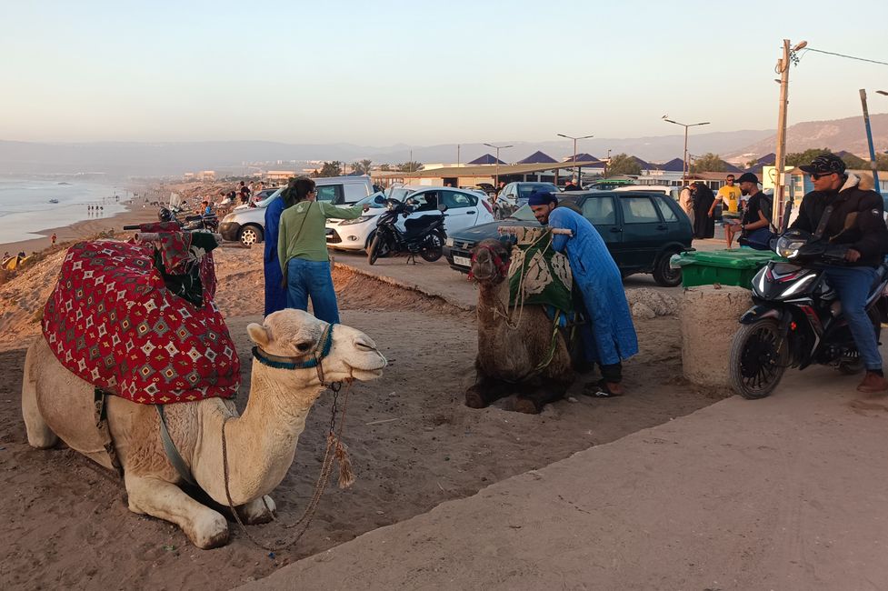 Surfen. Haut. Selbstbewusstsein.