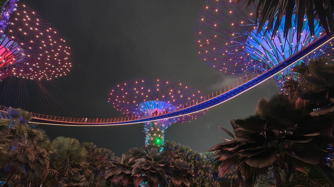 Rhapsody Show at Gardens by the Bay with the illuminated Supertrees