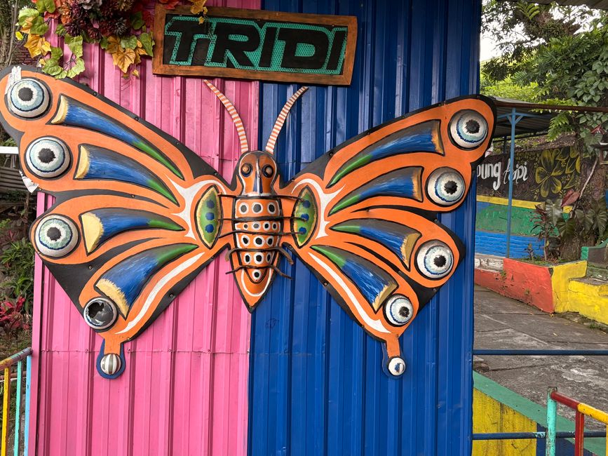 Colores por todas partes