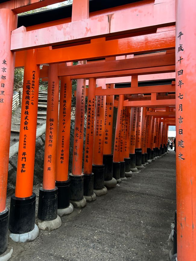 Kyoto - Days 6-9