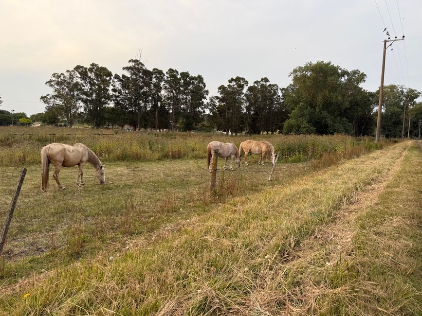Ein normaler Tag in Chapa