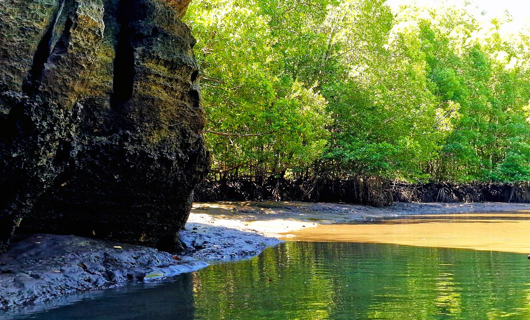 Kilim Forest Park