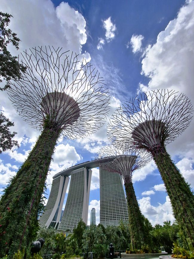 Gardens by the bay