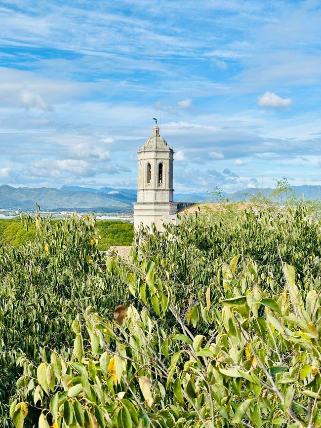 Ein Tag in Girona