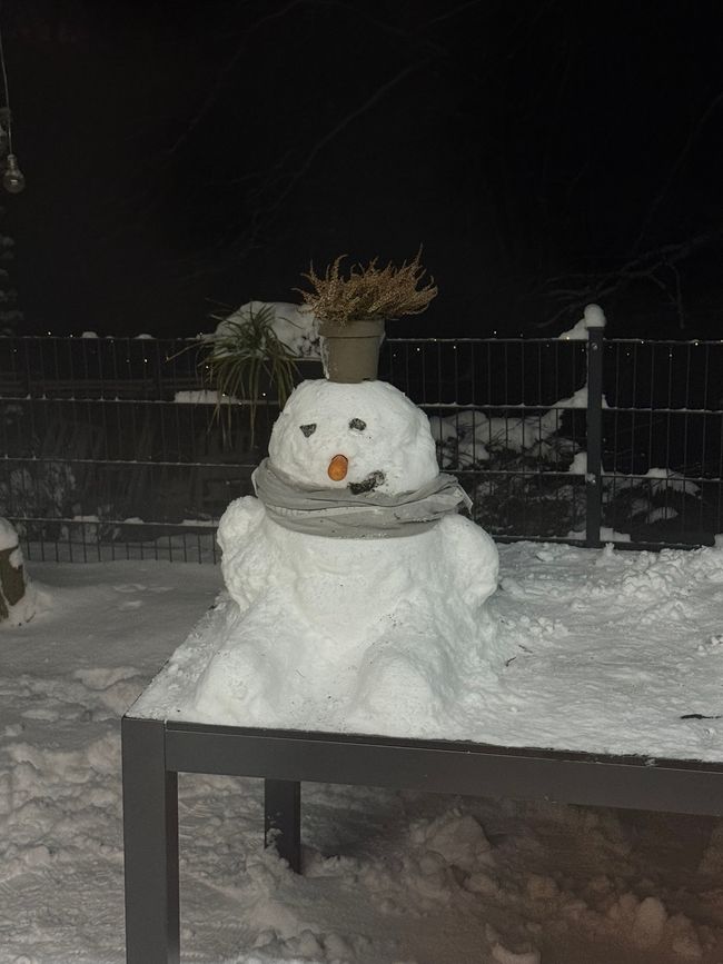 Pupazzo di neve ☃️/ pupazzo di neve ☃️
