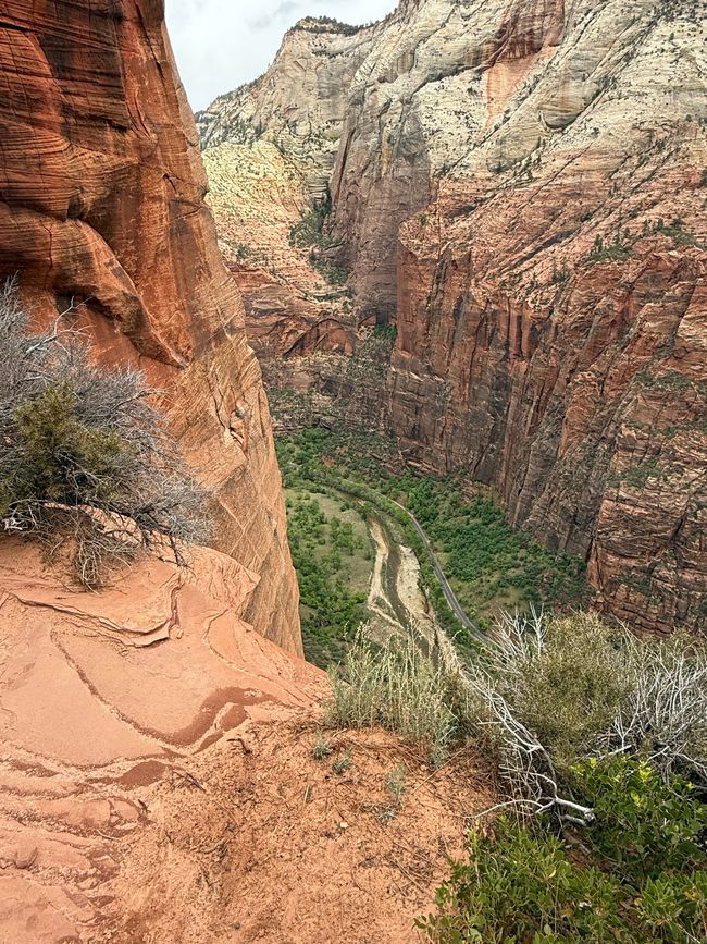 Der Zion Canyon von oben