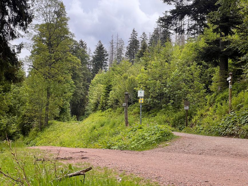 26 Feldbergsteig Escursione Pro Wolermoos