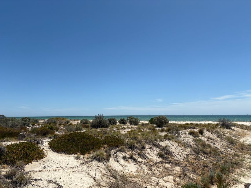 Wiedersehen in Adelaide, 11. und 12.01.25